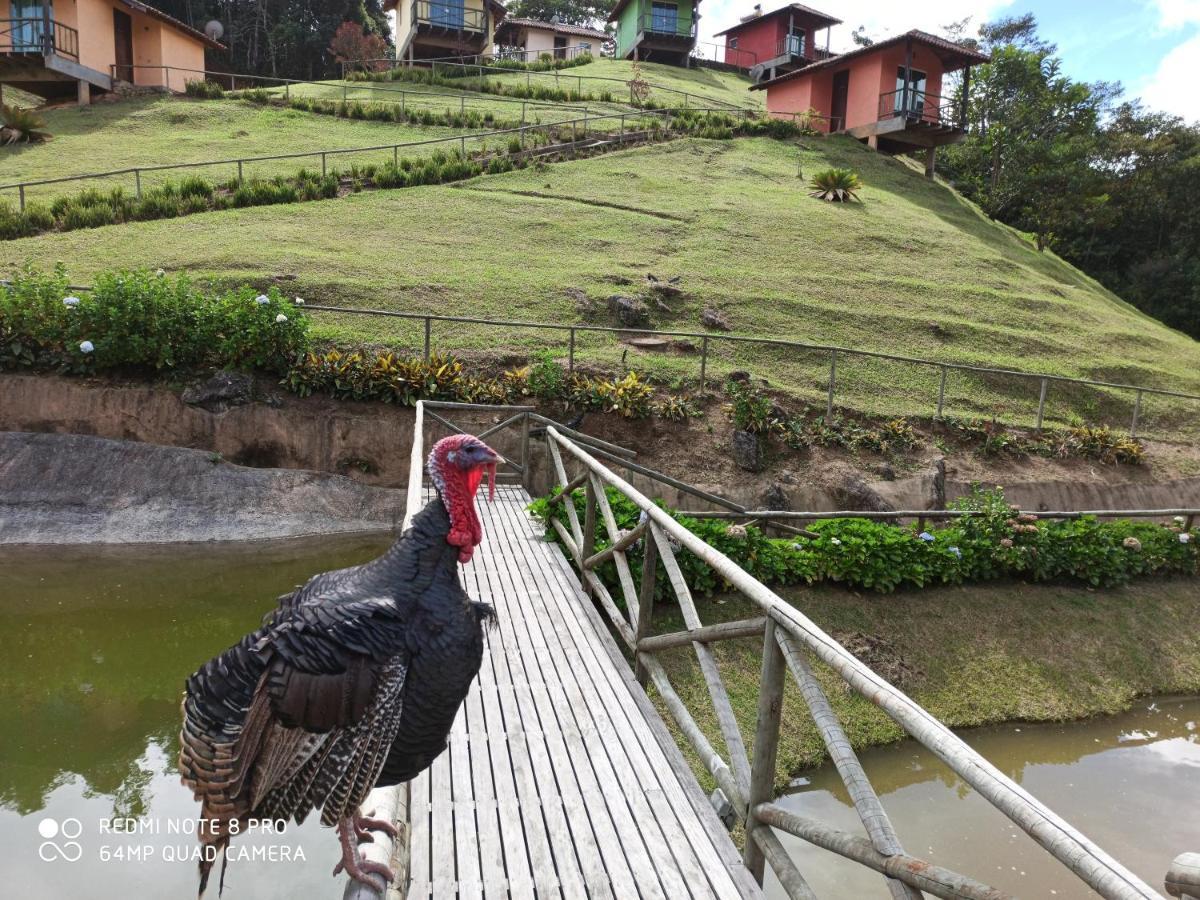 Pousada Espaco Da Onca ลูเมียร์ ภายนอก รูปภาพ